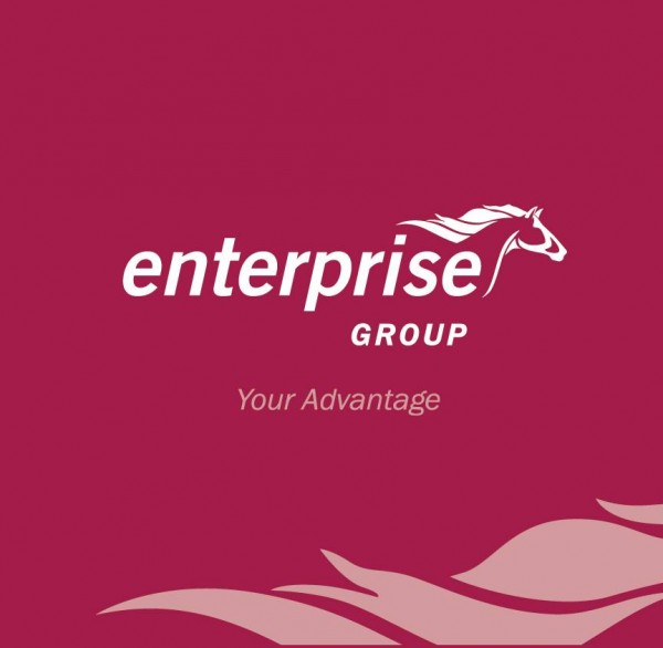Insurer Logo
